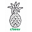 r/trees Pineapple decal