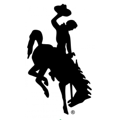 Wyoming Bucking Horse (Steamboat) Solid